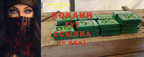 шишки Бородино