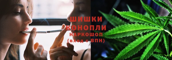 шишки Бородино