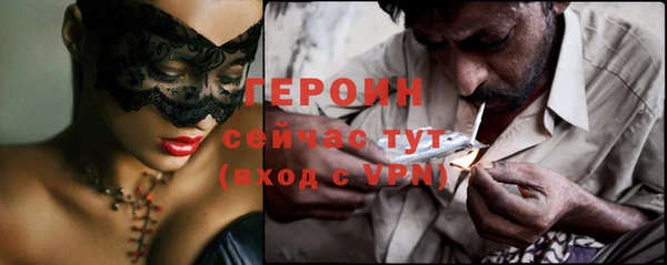 шишки Бородино