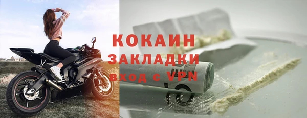 шишки Бородино
