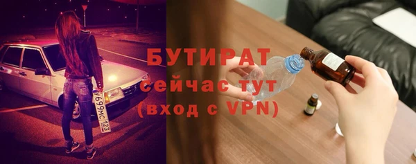шишки Бородино