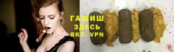 шишки Бородино