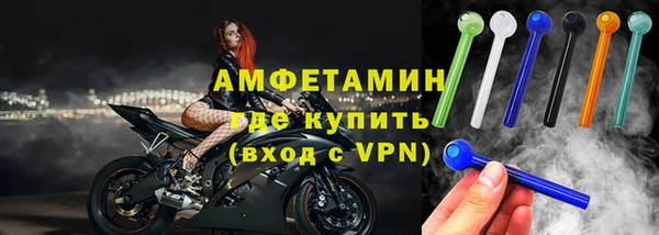 шишки Бородино
