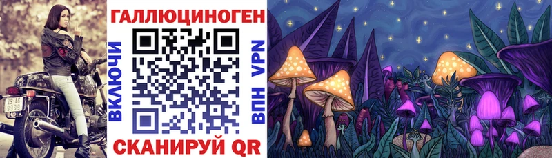 Купить закладки  Касли  Галлюциногенные грибы мухоморы 